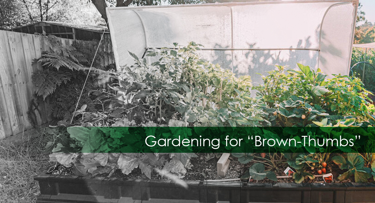 Gardening for “brown thumbs”